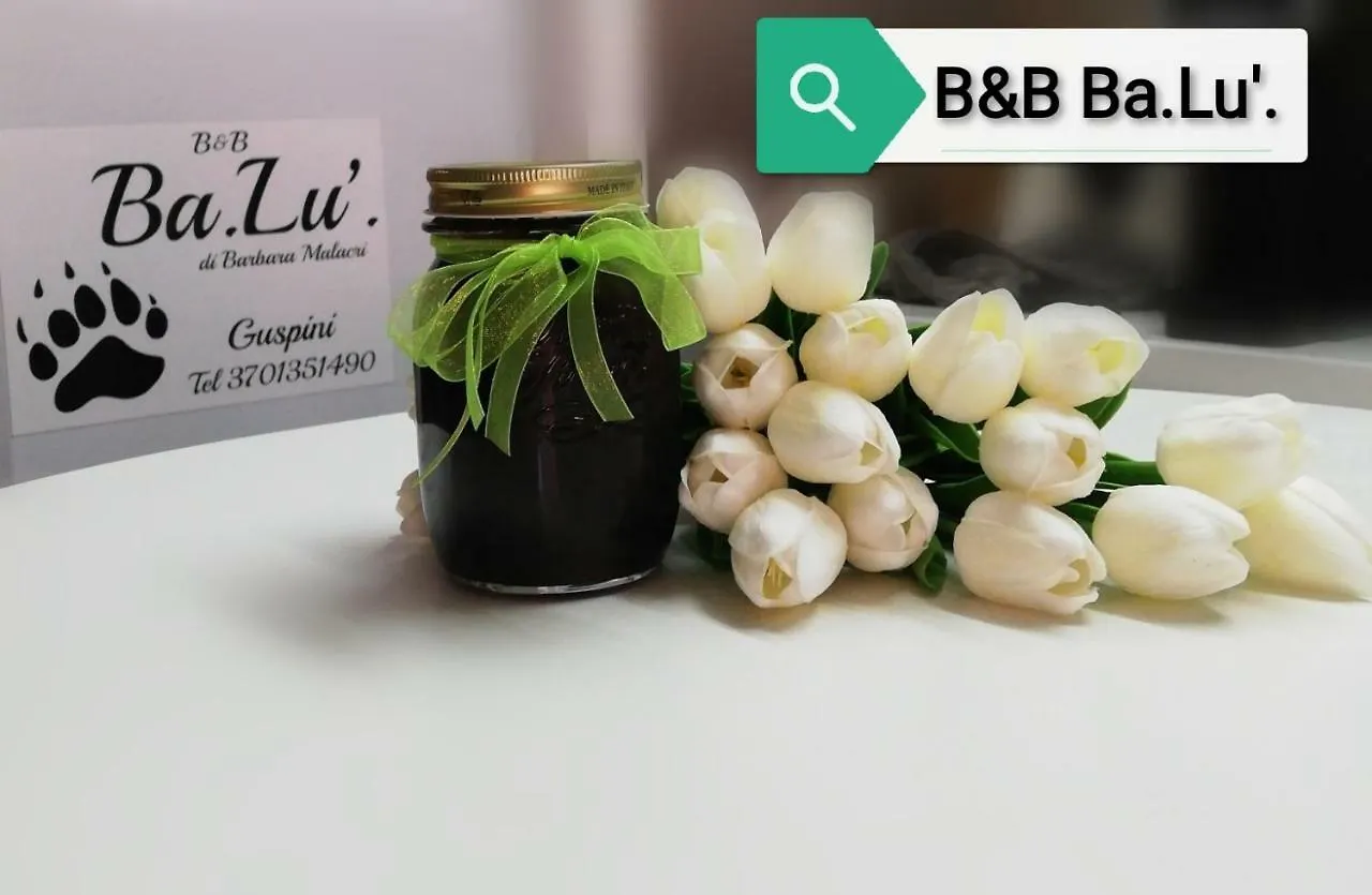 Ba.Lu. contacts